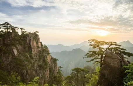 为何古人诗人喜欢隐居山林？这首词道出真相