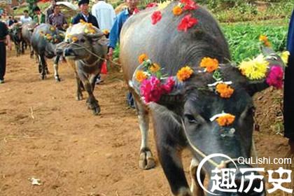 布依族节日  布依族的四月八有什么特点