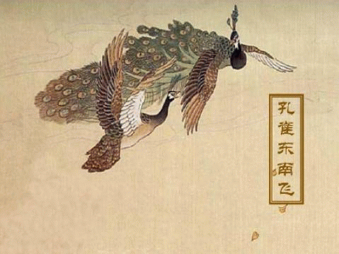 《孔雀东南飞》为何要向东南而非西北飞？