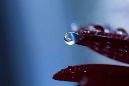 &ldquo;寒露&rdquo;有什么寓意？&ldquo;寒露&rdquo;的气候特征是什么？