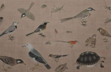 &ldquo;写生珍禽图&rdquo;画了哪些东西？&ldquo;写生珍禽图&rdquo;是属于什么流派的画作？