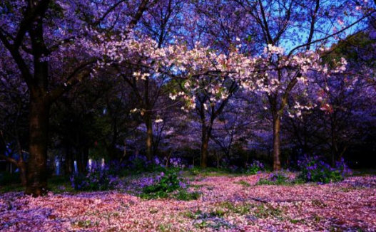 李嘉诚挂在办公室的座右铭！《平常是道》相较《陋室铭》有什么特别之处？