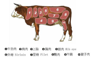 成语“庖丁解牛”的原意是什么?其中又有哪些历史典故呢?