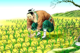 成语“揠苗助长”出自哪里?其中又有哪些历史典故呢?